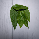 Adulsa Leaves -  100 % Natural & Farm Fresh  Herbs